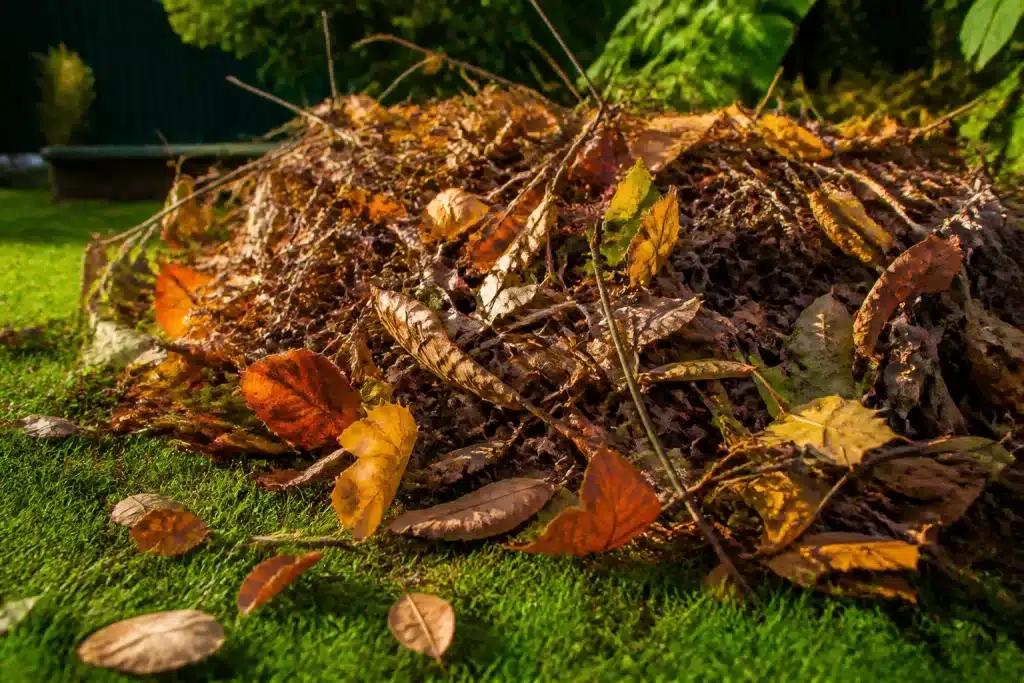 Tas de feuilles mortes et brindilles dans jardin automnal